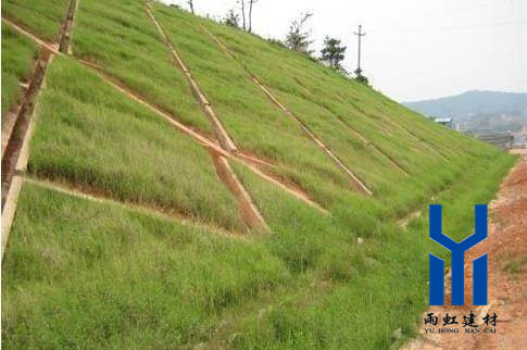 三維植被網(wǎng)http://0915dns.com/